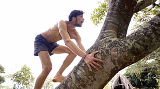 Pierre grimpe arbre